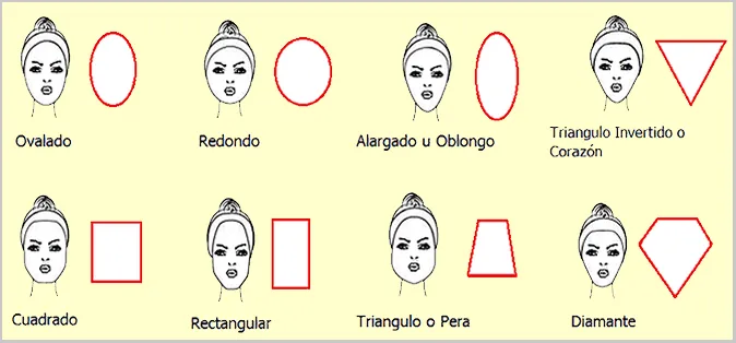 Formas del rostro | Cursos gratis