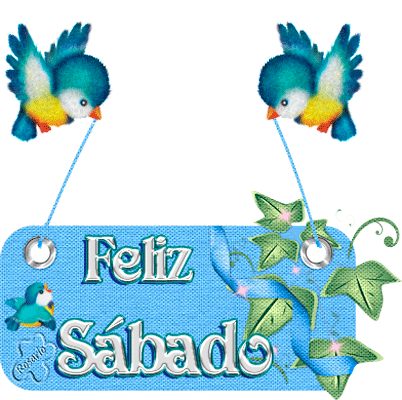 FORO - COLUNGATEAM FORO - COLUNGATEAM