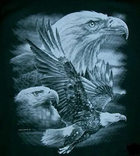Foro gratis : Clan Las Aguilas Imperiales - Portal