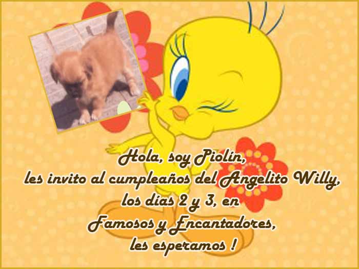 Foro - Hola soy Piolín , les invito al cumple del Angelito Willy ... Foro - Hola soy Piolín , les invito al cumple del Angelito Willy ...