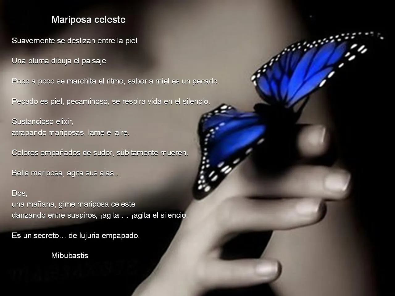 Foro para mayores de 50 años con actitud • Ver Tema - Aromas de ... Foro para mayores de 50 años con actitud • Ver Tema - Aromas de ...