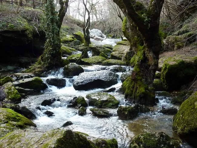 Foros de Picos de Europa y Cordillera Cantábrica; Ver Tema - Rios ...