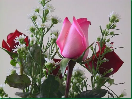 Foros de poemas y poesias, : Felicidades Hijas Mias | " UNA ...