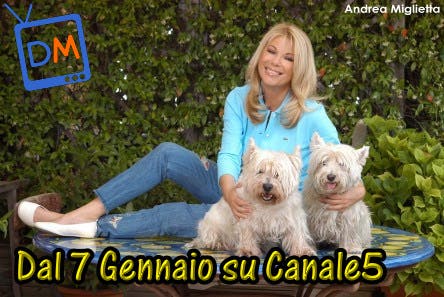 FORUM TORNA ALLE ORIGINI : SU CANALE5 DAL 7 GENNAIO | DavideMaggio.it FORUM TORNA ALLE ORIGINI : SU CANALE5 DAL 7 GENNAIO | DavideMaggio.it