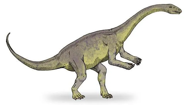 Fósiles ayudan a conocer el desarrollo de los dinosaurios | La Voz ...