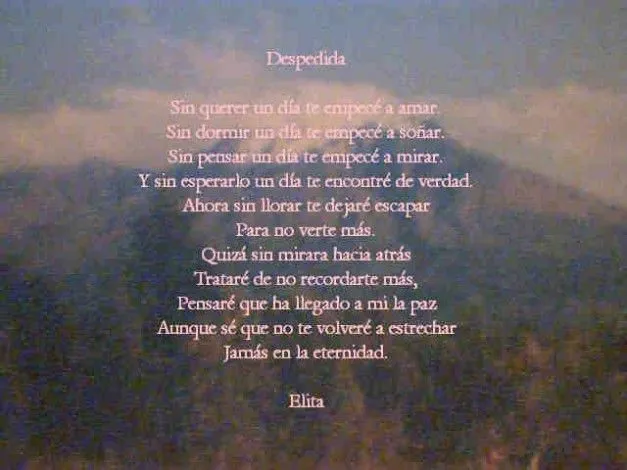 Foto - 3- Foto - 3-