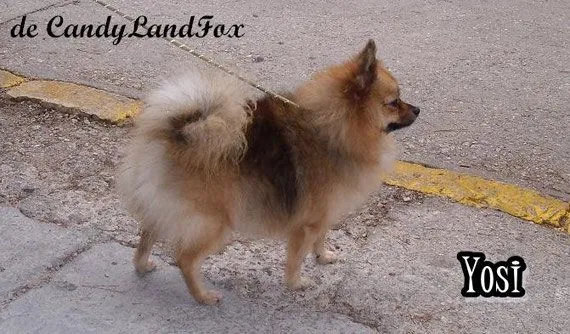 Foto con 1 año y 7 meses (embarazada de 1 mes) :