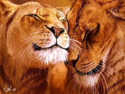 Foto Bazar: Golden Love - BloodHowl - arte digital - leones ...
