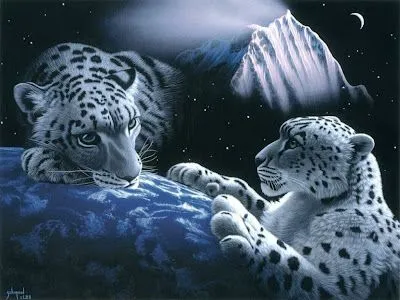 Foto Bazar: dos leopardos en paisaje de fantasía - felinos ... Foto Bazar: dos leopardos en paisaje de fantasía - felinos ...