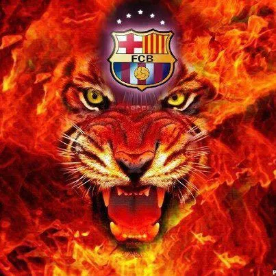 FOTO BLOG CULÉ: TIGRE CON FUEGO Y EL ESCUDO DEL BARÇA