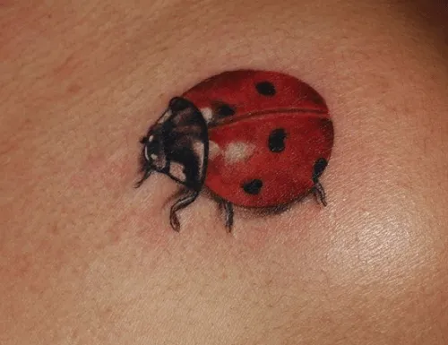 Foto Caterina Tattoos