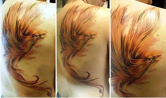 Foto fenice,baldi cristian,tattoo,c dall'album TATTOO 2 di ... Foto fenice,baldi cristian,tattoo,c dall'album TATTOO 2 di ...