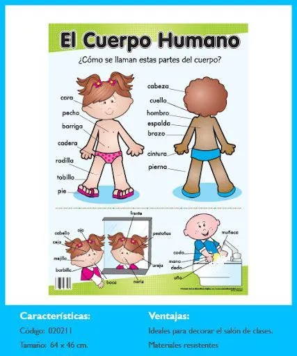 FOTO ideas recientes - Sonia.1 - Picasa Web Albums | Conceptes ... FOTO ideas recientes - Sonia.1 - Picasa Web Albums | Conceptes ...