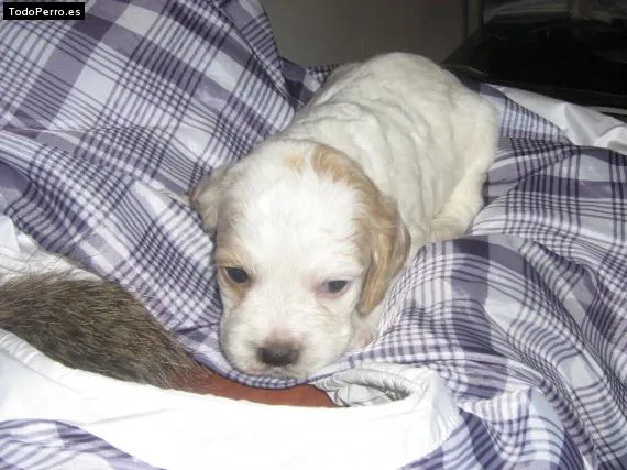 La foto de Bebe