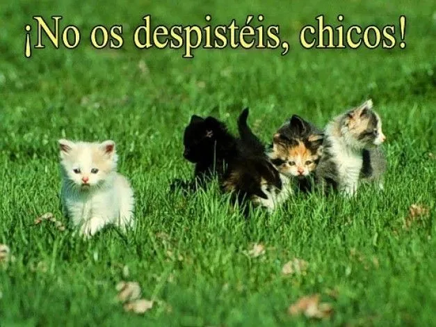 Foto - postales-chistosas-2