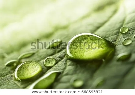 Fondos verde agua - Imagui