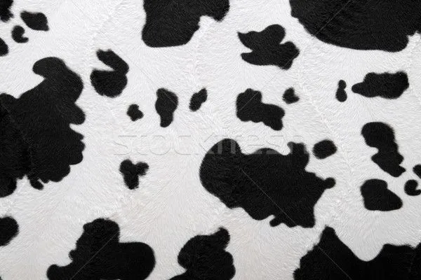 Foto stock - piel · alfombra · negro · vaca · patrón · fondo ... Foto stock - piel · alfombra · negro · vaca · patrón · fondo ...