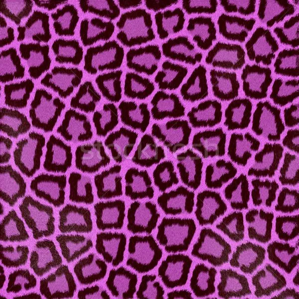 Foto stock - rosa · leopardo · piel · fondo © Kirsty Pargeter ... Foto stock - rosa · leopardo · piel · fondo © Kirsty Pargeter ...