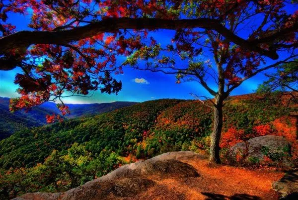 FOTOFRONTERA: 25 paisajes naturales de los más hermosos del mundo FOTOFRONTERA: 25 paisajes naturales de los más hermosos del mundo