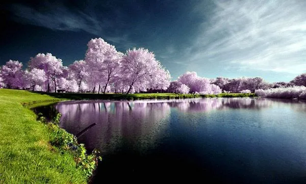FOTOFRONTERA: 25 paisajes naturales de los más hermosos del mundo FOTOFRONTERA: 25 paisajes naturales de los más hermosos del mundo
