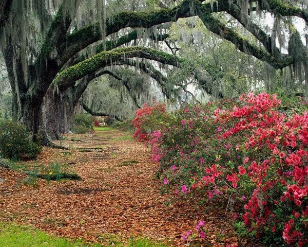 FOTOFRONTERA: 25 paisajes naturales de los más hermosos del mundo