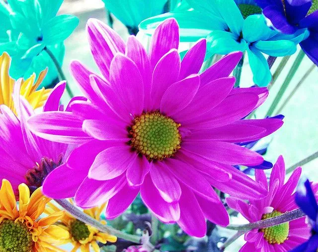 FOTOFRONTERA: 52 Imágenes bonitas de primavera