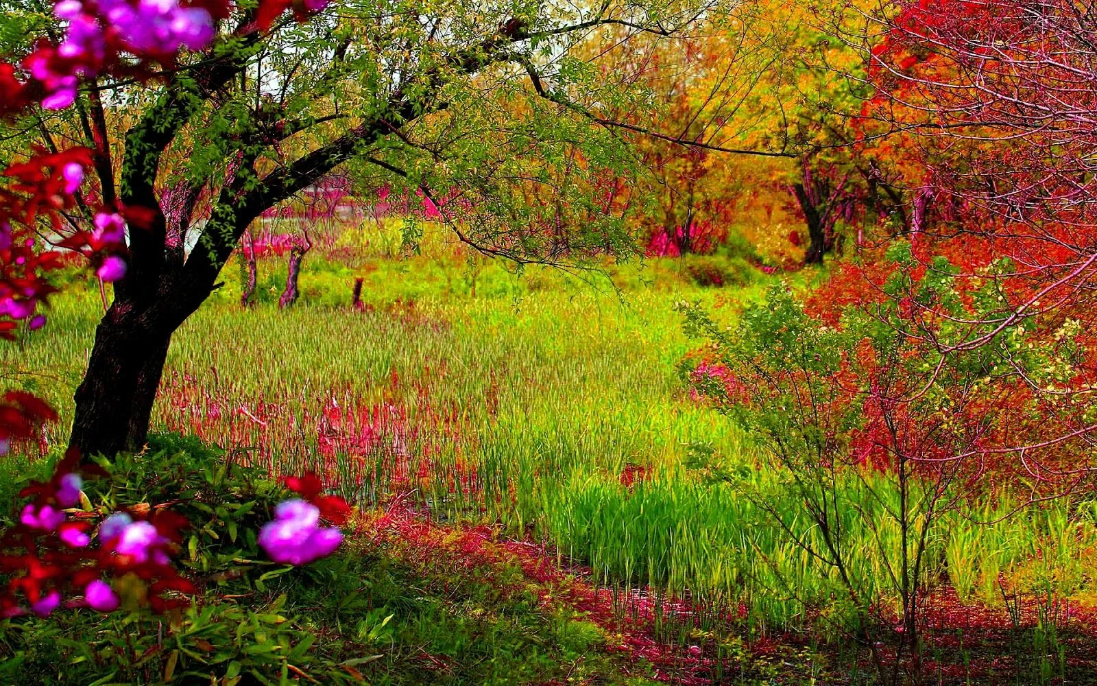 FOTOFRONTERA: Colección de 20 imágenes de paisajes hermosos