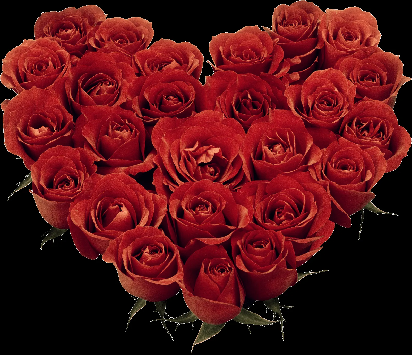 FOTOFRONTERA: Corazón de rosas rojas para compartir FOTOFRONTERA: Corazón de rosas rojas para compartir