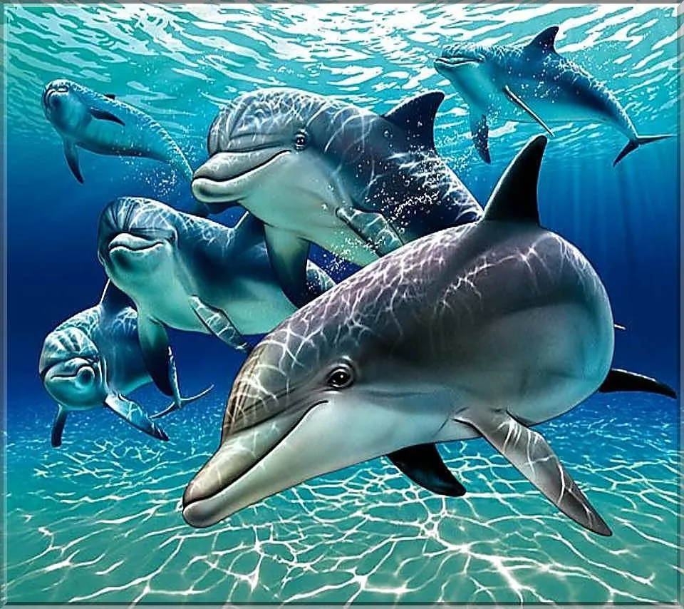 FOTOFRONTERA: Delfines jugando en el fondo del mar FOTOFRONTERA: Delfines jugando en el fondo del mar