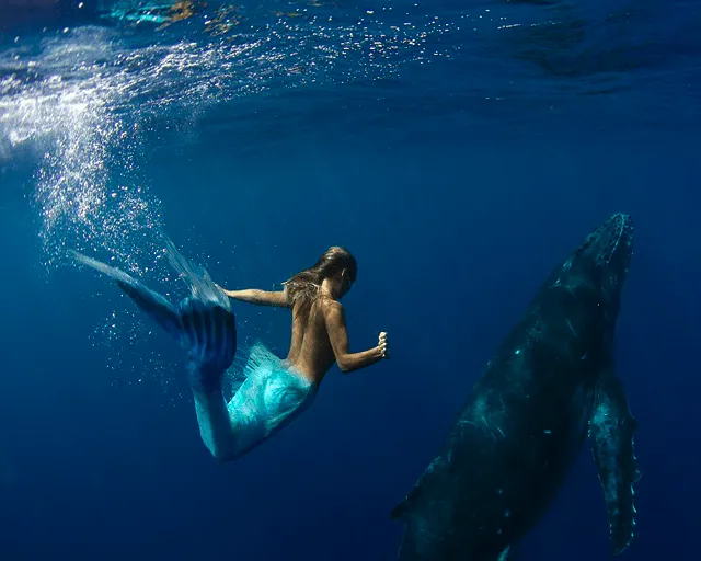 FOTOFRONTERA: Primera fotografía de una sirena real - Real Mermaid