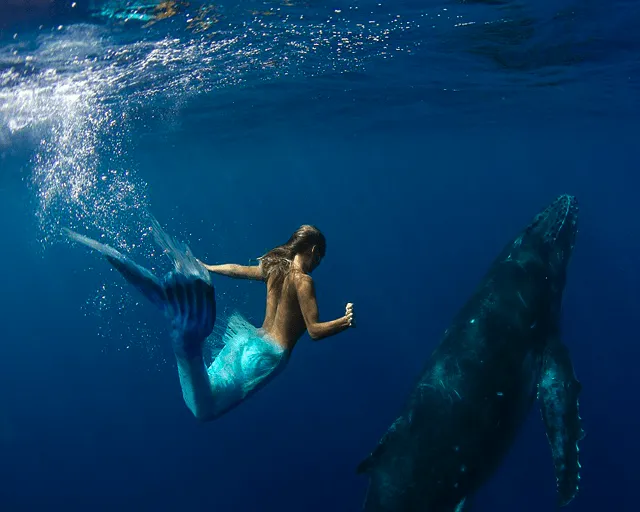 FOTOFRONTERA: Primera fotografía de una sirena real - Real Mermaid FOTOFRONTERA: Primera fotografía de una sirena real - Real Mermaid
