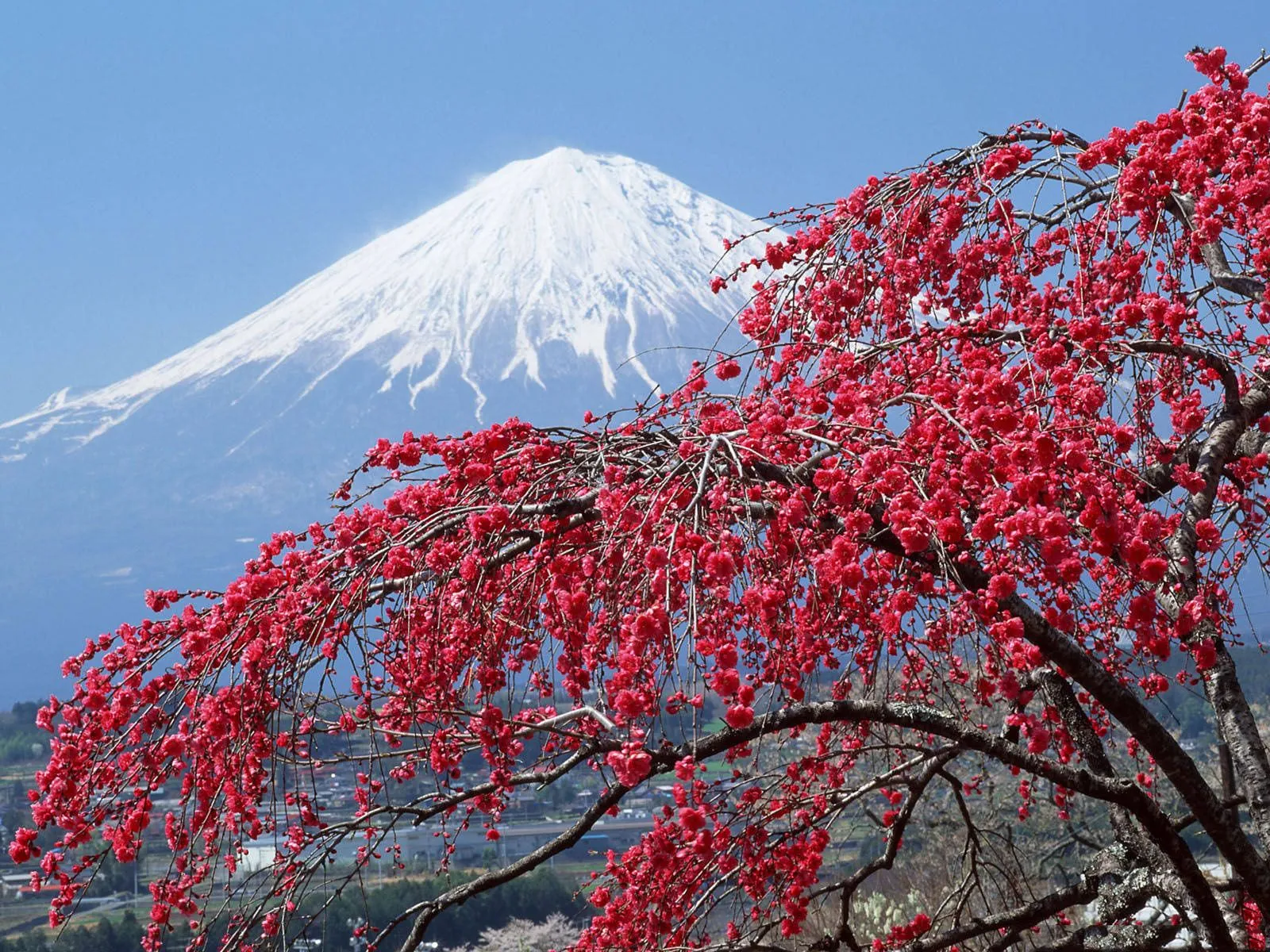 FOTOFRONTERA: 6 Imágenes bonitas de paisajes para disfrutar FOTOFRONTERA: 6 Imágenes bonitas de paisajes para disfrutar