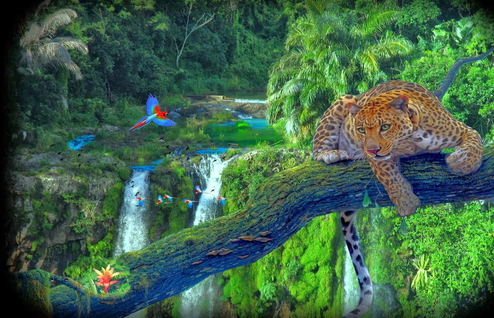 FOTOFRONTERA: Imágenes surtidas de paisajes hermosos y animales ... FOTOFRONTERA: Imágenes surtidas de paisajes hermosos y animales ...