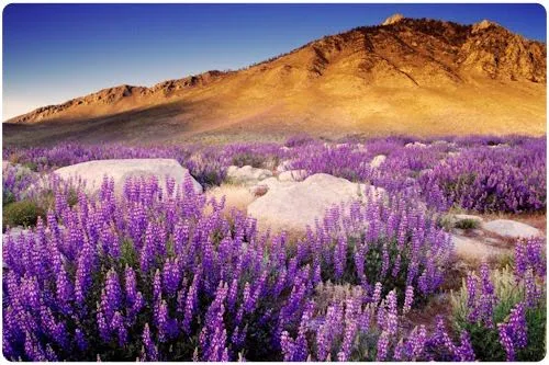 FotoFrontera: Paisajes Naturales de California (12 fotografías) FotoFrontera: Paisajes Naturales de California (12 fotografías)