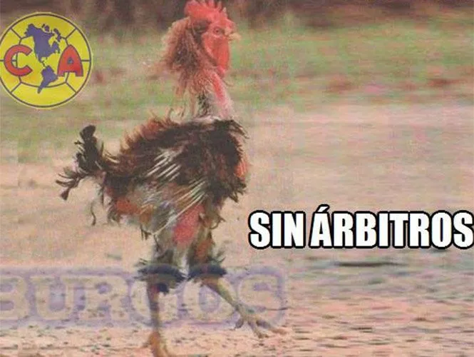 FOTOGALERÍA: Los memes también golean al América tras derrota con Pumas | Excélsior FOTOGALERÍA: Los memes también golean al América tras derrota con Pumas | Excélsior