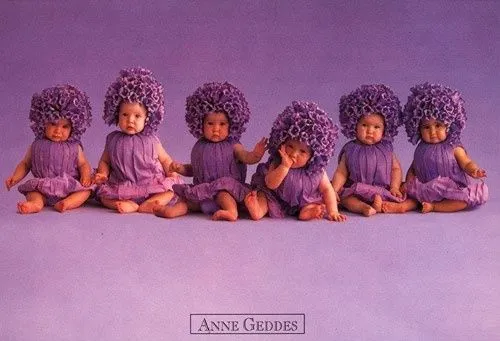 La fotógrafa Anne Geddes plantea un ERE para 86 bebés La fotógrafa Anne Geddes plantea un ERE para 86 bebés