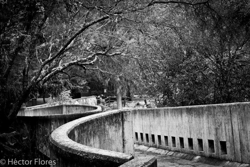 Fotografía artística : COMO VER EN BLANCO Y NEGRO