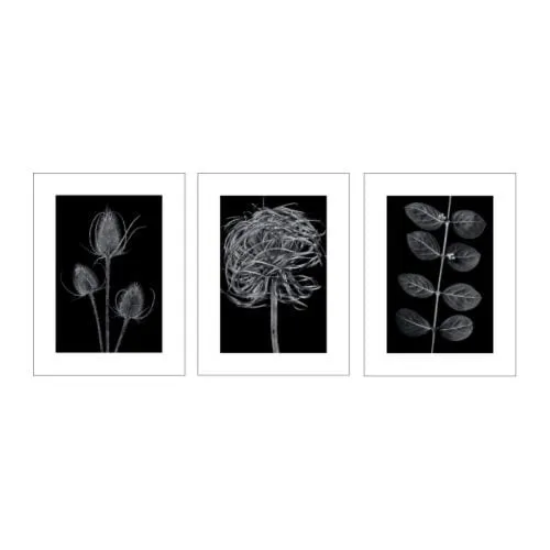 FOTOGRAFIA EN BLANCO Y NEGRO, Y LÁMINAS. | Decorar tu casa es ... FOTOGRAFIA EN BLANCO Y NEGRO, Y LÁMINAS. | Decorar tu casa es ...