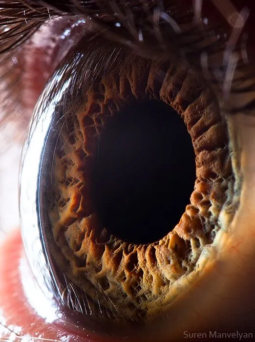 fotografia-impresionante.jpg