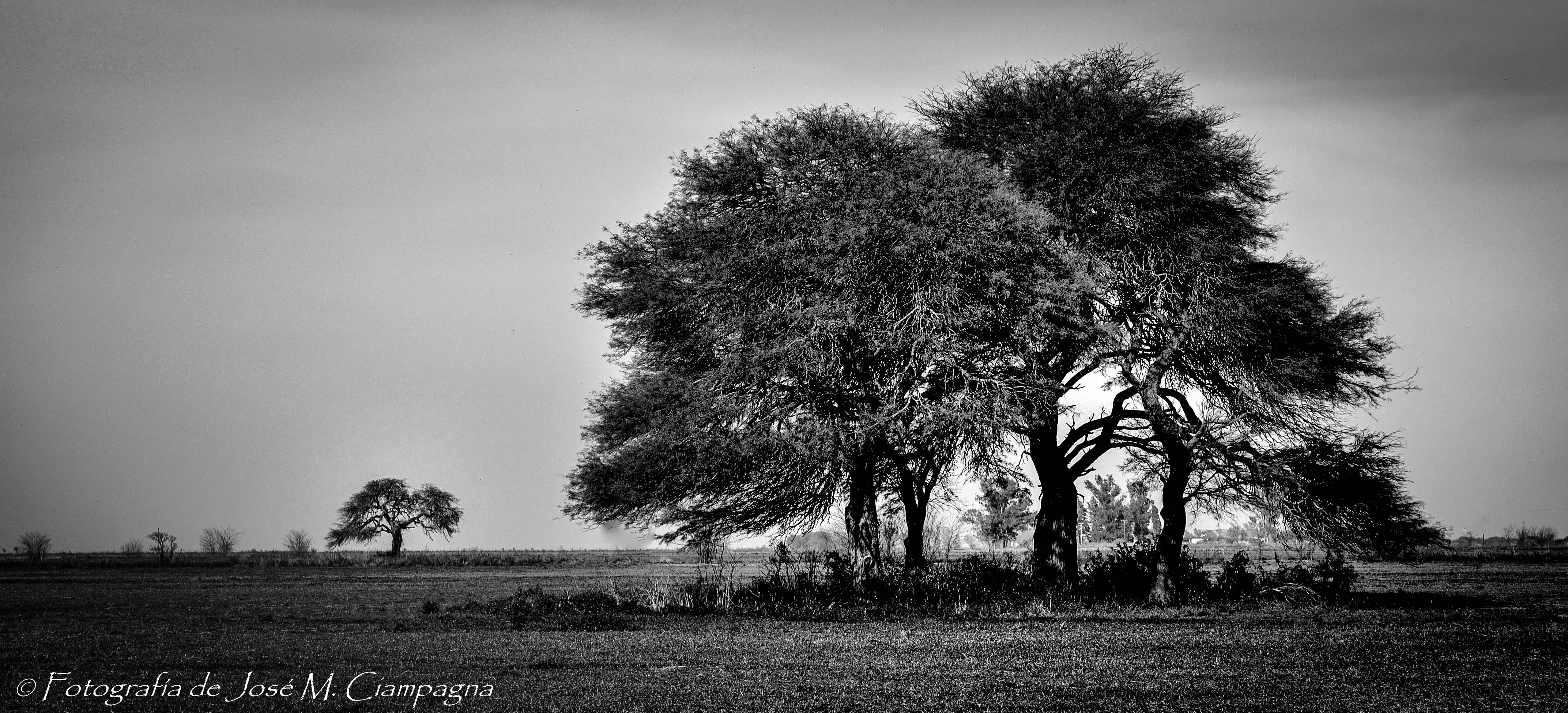 Fotografía: Paisaje de campo en blanco y negro | El blog del profe ... Fotografía: Paisaje de campo en blanco y negro | El blog del profe ...