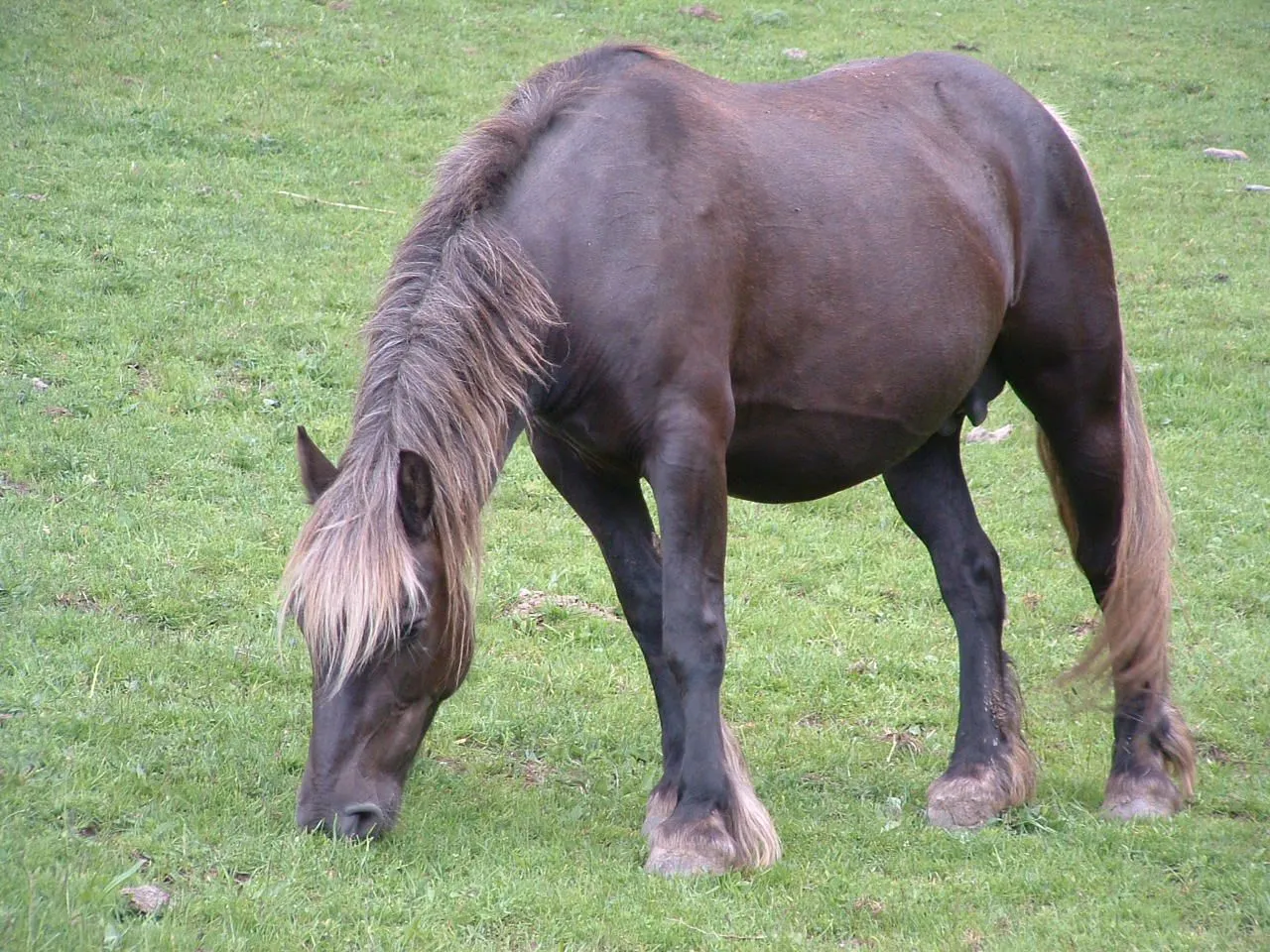 Mis fotografias: 6/06/10 - 13/ Mis fotografias: 6/06/10 - 13/