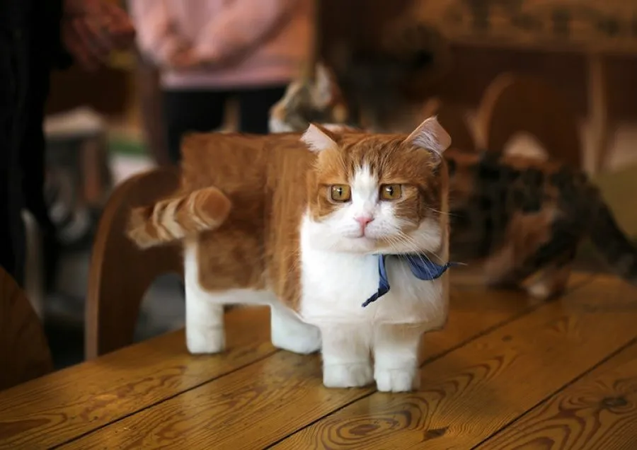 Fotografías de animales retocadas parecen criaturas de Minecraft en la vida real - Cultura Inquieta Fotografías de animales retocadas parecen criaturas de Minecraft en la vida real - Cultura Inquieta