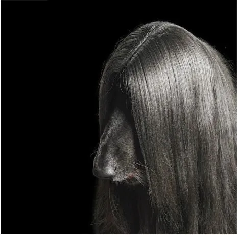Fotografías: Cortes de pelo para perro con mucho estilo. - SRI ... Fotografías: Cortes de pelo para perro con mucho estilo. - SRI ...