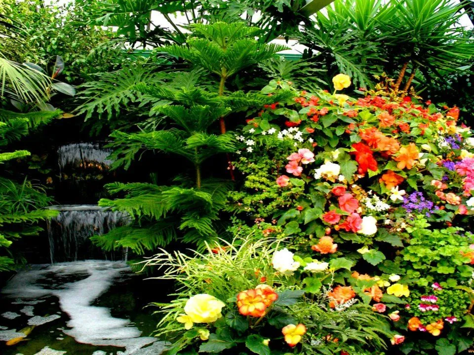 Fotografias de flores y cascadas - Fotografias y fotos para imprimir Fotografias de flores y cascadas - Fotografias y fotos para imprimir