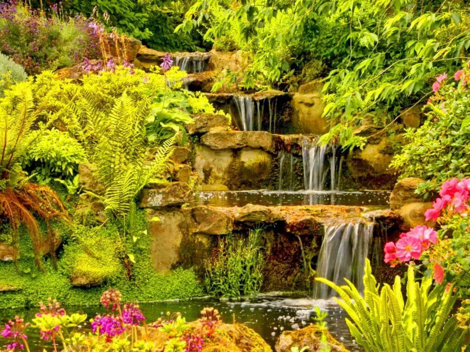 Fotografias de flores y cascadas - Fotografias y fotos para imprimir Fotografias de flores y cascadas - Fotografias y fotos para imprimir