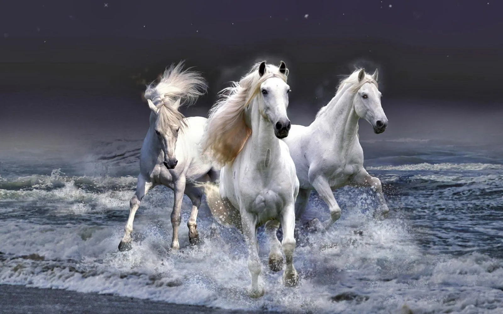 Fotografias de lindos caballos | Fotos Bonitas de Amor | Imágenes ...