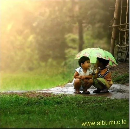 Como hacer fotografías en los días de lluvia. | Fotografia para ...