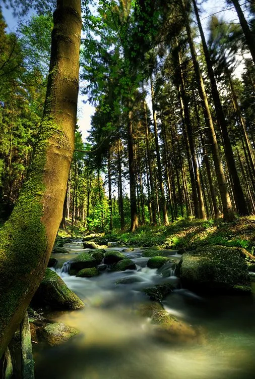 Fotografías de ríos y paisajes naturales (7 postales) | Banco de ...