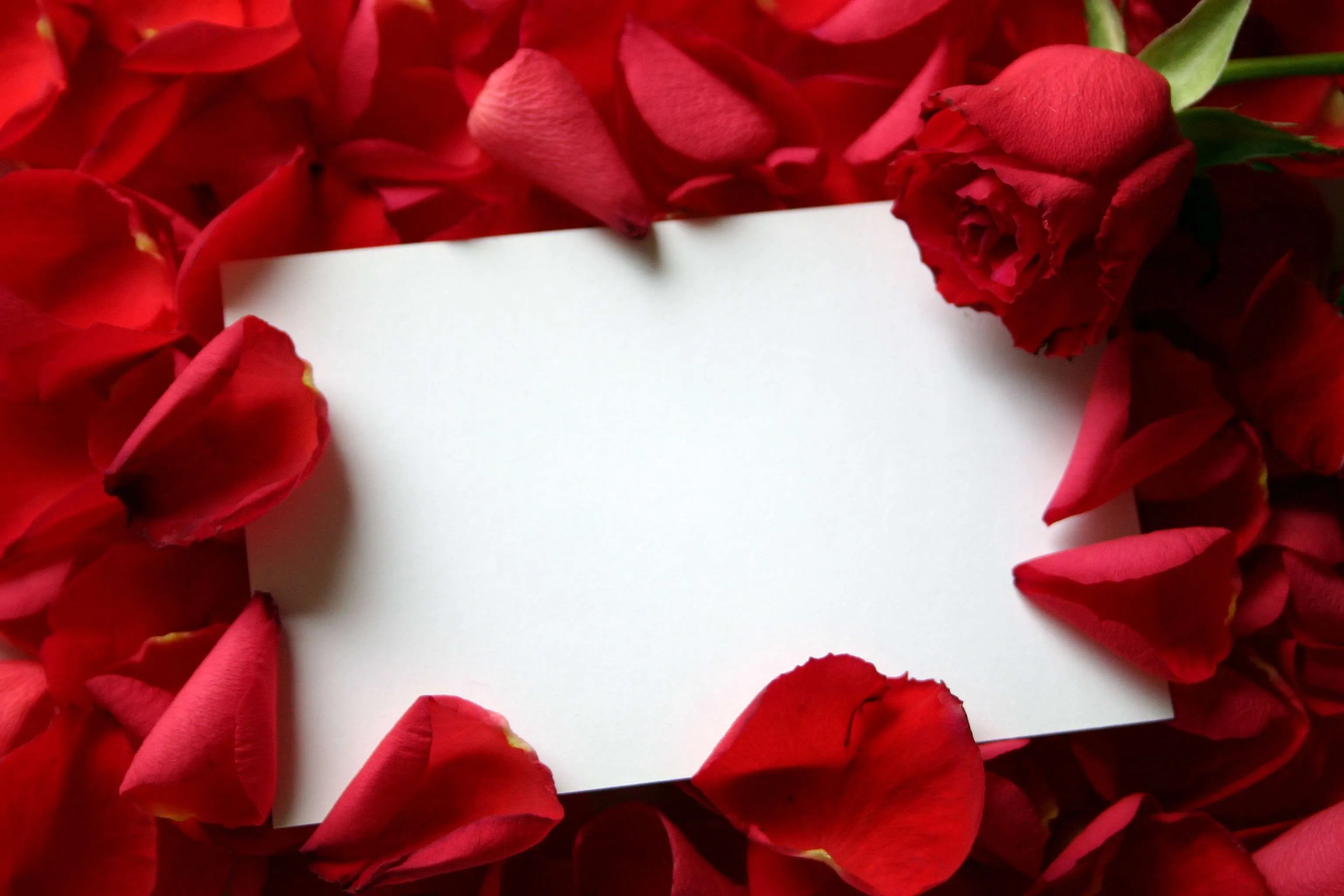Fondos para fotos romanticos - Imagui
