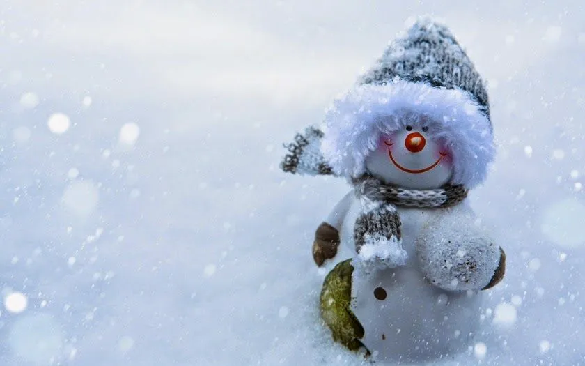 Fotografías de tiernos muñecos de nieve | Fotos Bonitas de Amor ... Fotografías de tiernos muñecos de nieve | Fotos Bonitas de Amor ...
